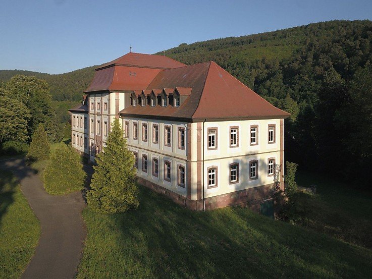 Foto Denkmalschutzimmobilien sind nicht nur architektonische Schmuckstücke, sondern bieten auch zahlreiche steuerliche Vorteile.<br/><br>Der wundervolle Garten mit seinem alten Baumbestand liegt malerisch am Mainufer und bietet Ruhe und Entspannung.<br>Schloss Fechenbach präsentiert sich als Rohdiamant, der dank Herrn Georg A. Wissler, heute in neuem Glanz erstrahlt.<br><br>Das historische Schlosshofgebäude der Gemeinde Collenberg mit Lagerfläche im EG und Wohnräumen im OG kann als Erweiterung/Ergänzung dazu erworben werden.<br><br> Foto Denkmalschutzimmobilien sind nicht nur architektonische Schmuckstücke, sondern bieten auch zahlreiche steuerliche Vorteile.<br/><br>Der wundervolle Garten mit seinem alten Baumbestand liegt malerisch am Mainufer und bietet Ruhe und Entspannung.<br>Schloss Fechenbach präsentiert sich als Rohdiamant, der dank Herrn Georg A. Wissler, heute in neuem Glanz erstrahlt.<br><br>Das historische Schlosshofgebäude der Gemeinde Collenberg mit Lagerfläche im EG und Wohnräumen im OG kann als Erweiterung/Ergänzung dazu erworben werden.<br><br>