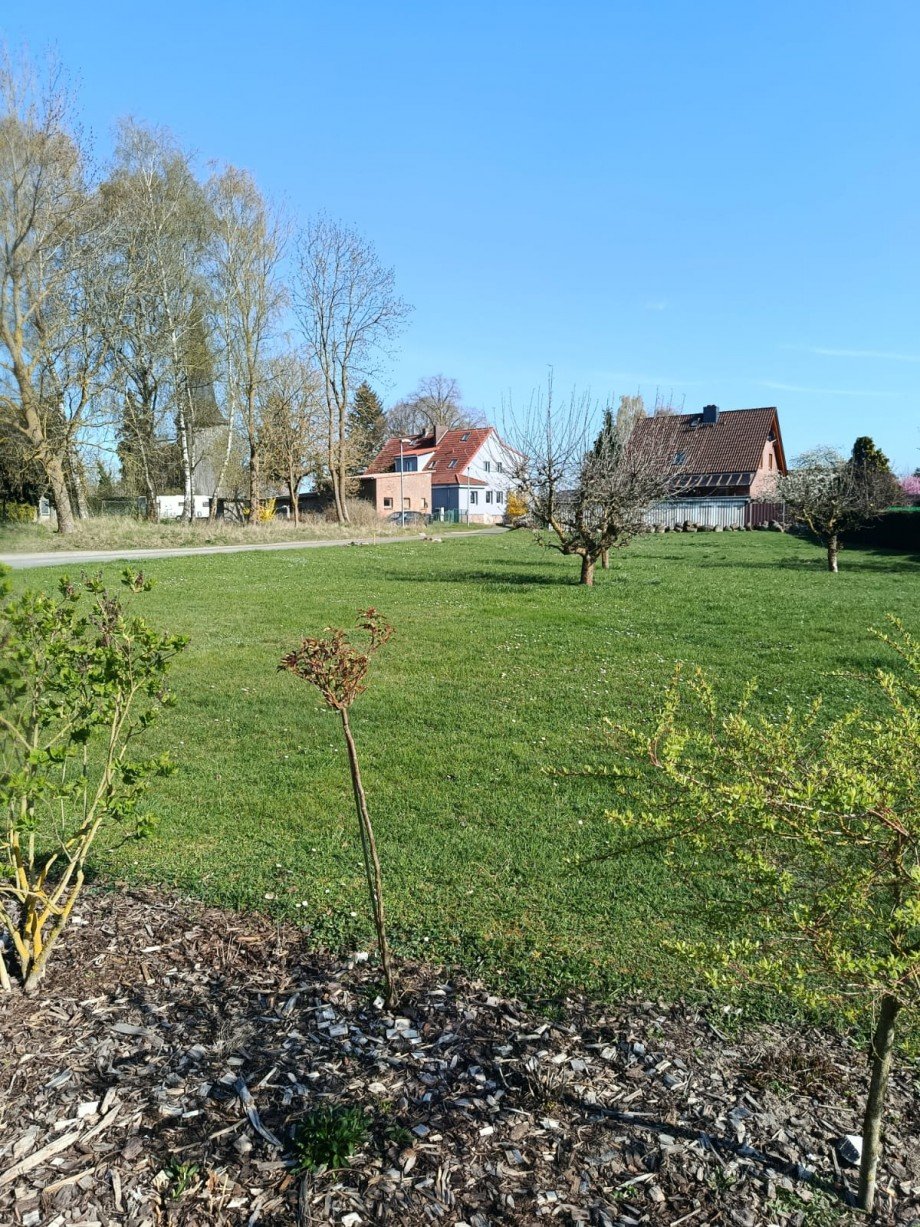Grundst�ck_Weltzin_Fr�hling 04.2026 Grundst�ck Burow / Weltzin