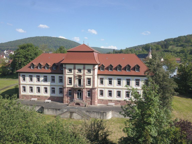 Ansicht vom Main Collenberg / Fechenbach - Fechenbach Gesch�ftshaus Au�ergew�hnliche Entwicklungsimmobilie am Main - 1,5ha Grundst�ck mit vielseitigem Nutzungspotenzial