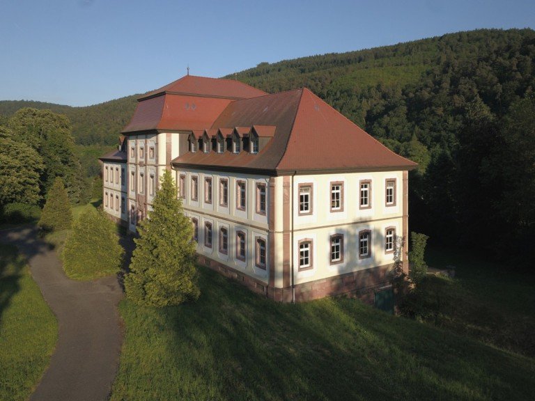 Ansichten Collenberg / Fechenbach - Fechenbach Gesch�ftshaus Schloss Fechenbach in Bayern - Majest�tisches Barockschloss aus dem 18. Jahrhundert