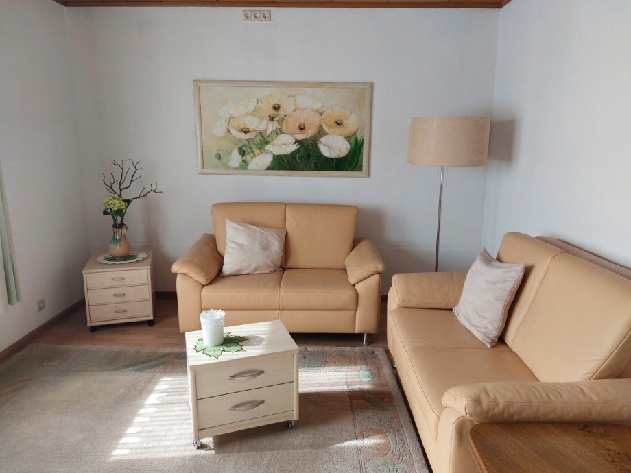 Wohnzimmer Zweifamilienhaus Aschaffenburg / Damm