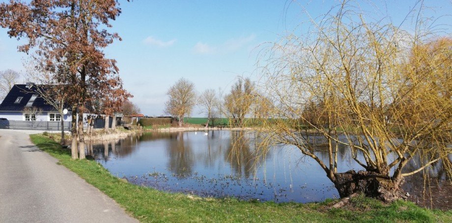 Aus der Umgebung Grundst�ck Grundst�ck Burow / Weltzin