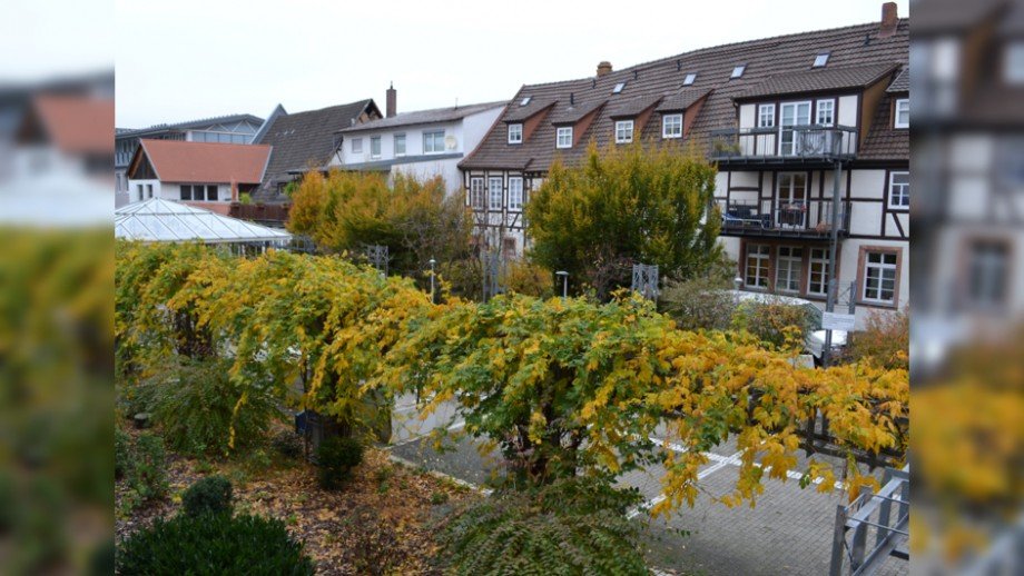 Aussicht vom Balkon Etagenwohnung Miltenberg